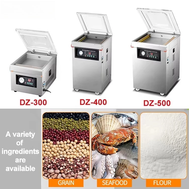 Horus DZ-300 Tabletop Stainless Steel Vacuum Chamber Vacuum Sealer Machine Meat Vacuum Packing Machine