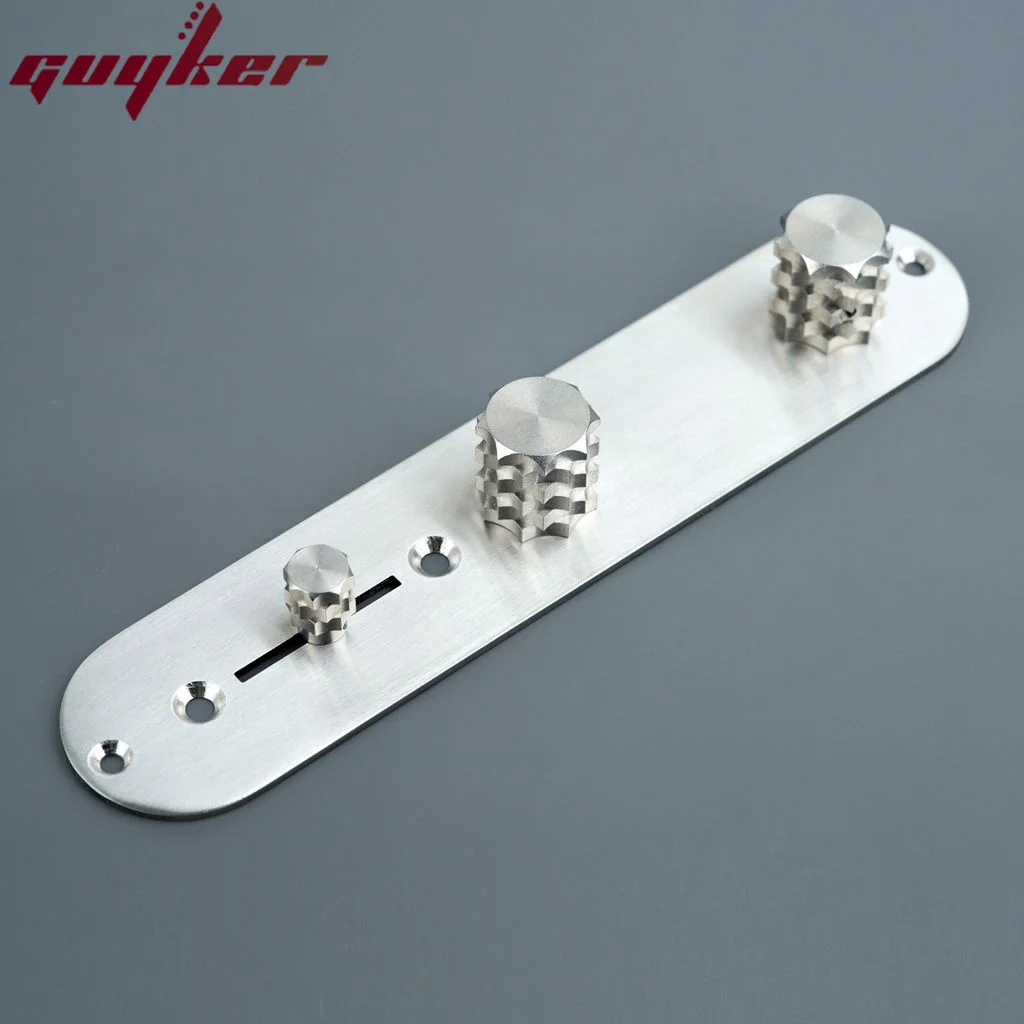 Guyker Stainless Steel Guitar Control Plate with 2 Potentimeter Knobs And Switch For TL Electric Guitars Four Options Available