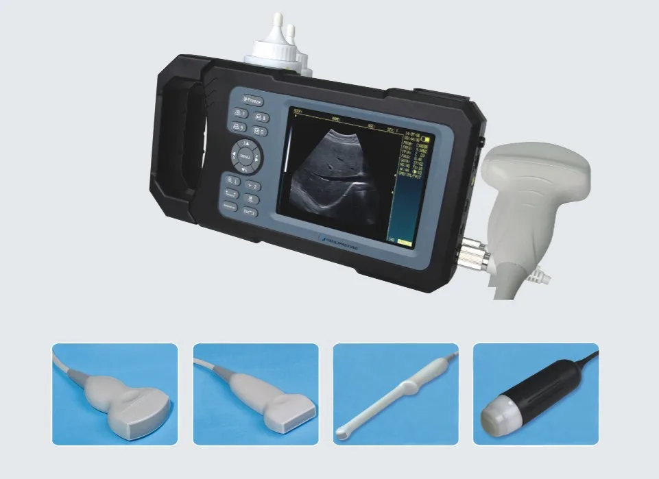 

Portable Handheld Veterinary Ultrasound Scanner Equipment for Animals