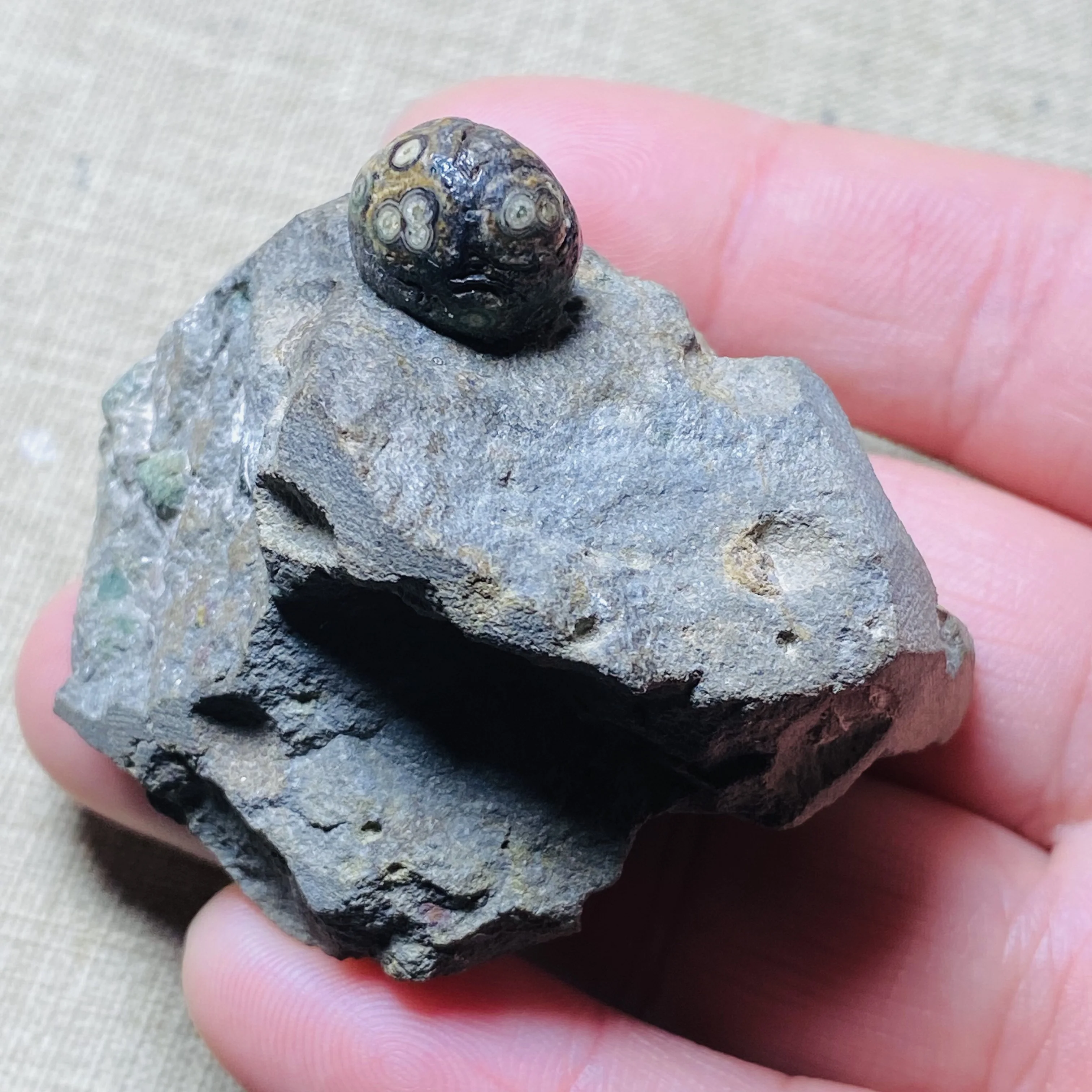 Natural Gobi Eye Agate Stone Specimen Rare Collectible Mineral Home Decoration Gift - view 5