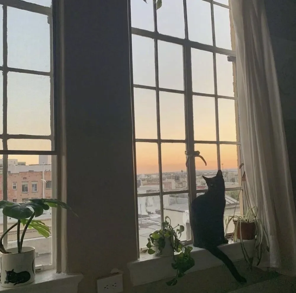 

Карбоновая фиксирующая пластина для передних амортизаторов и бампера для радиоуправляемых моделей Tamiya TA02/TA-02SW, запчасти для тюнинга