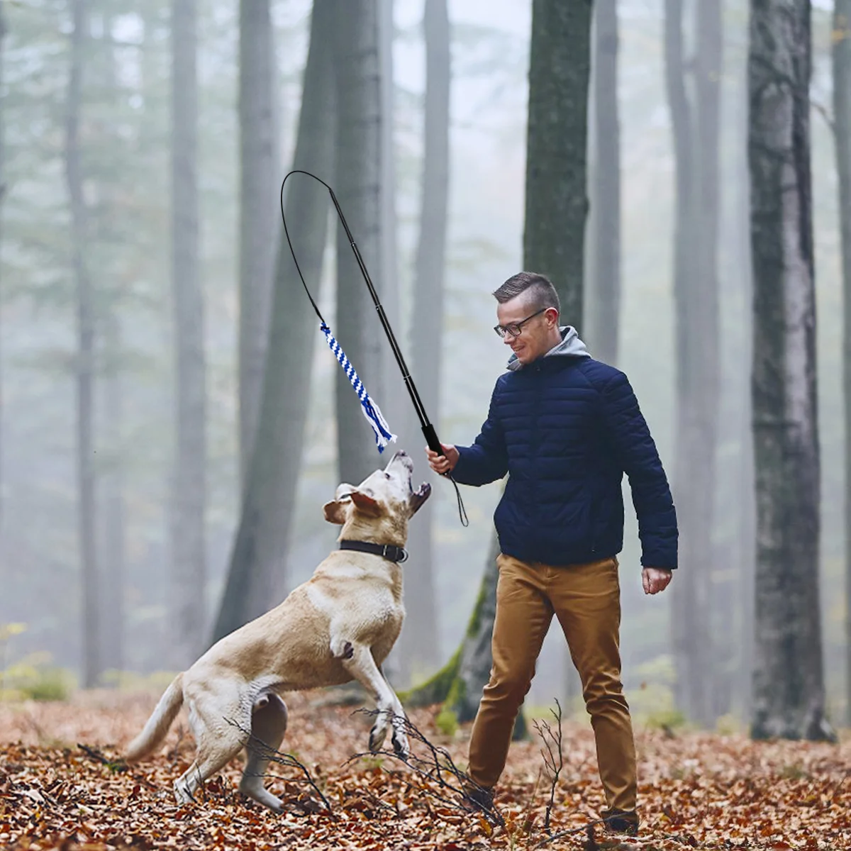 Giocattoli interattivi per cani retrattili Palo flirt allungabile Divertente coda di caccia Teaser e ginnico per animali domestici Giocattolo per