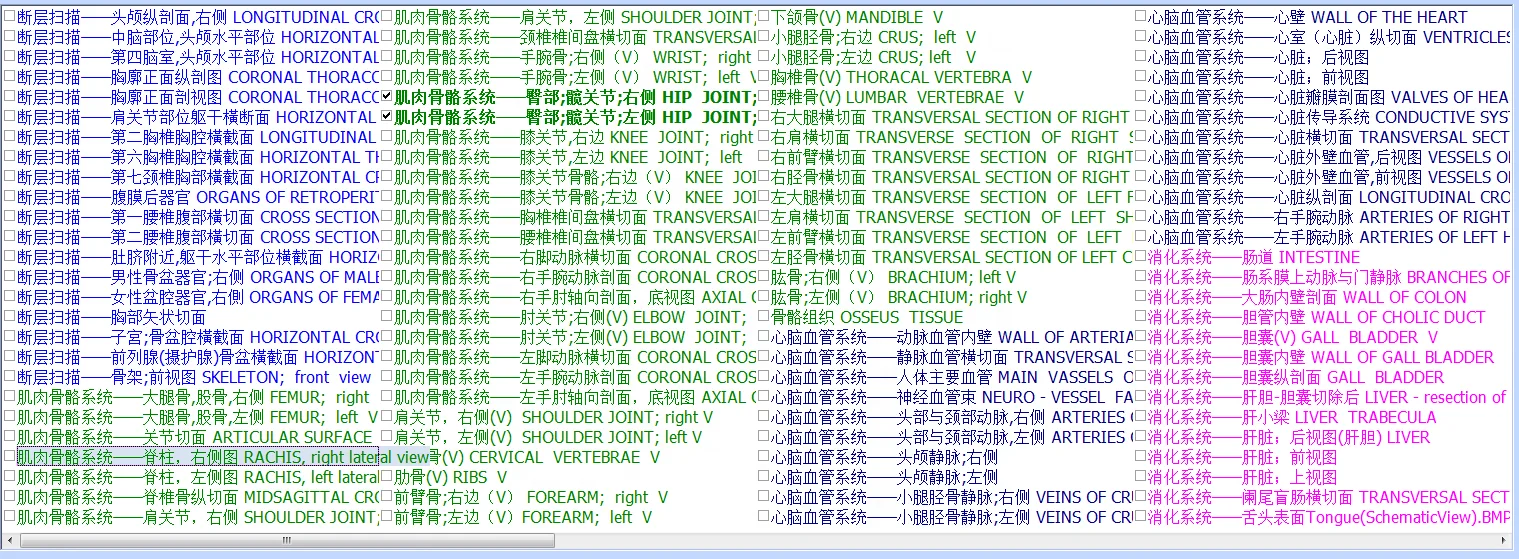 2024 مصنع 296 قطعة 3.82 نسخة الإنجليزية الألمانية الفرنسية الإيطالية الأصلية Bioplasm 9D Nls محلل الصحة