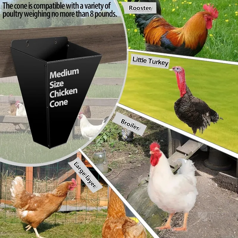 Stainless Steel Poultry Slaughter Cone Chicken Restrain Funnel Easy Install Clean Farm Supplies