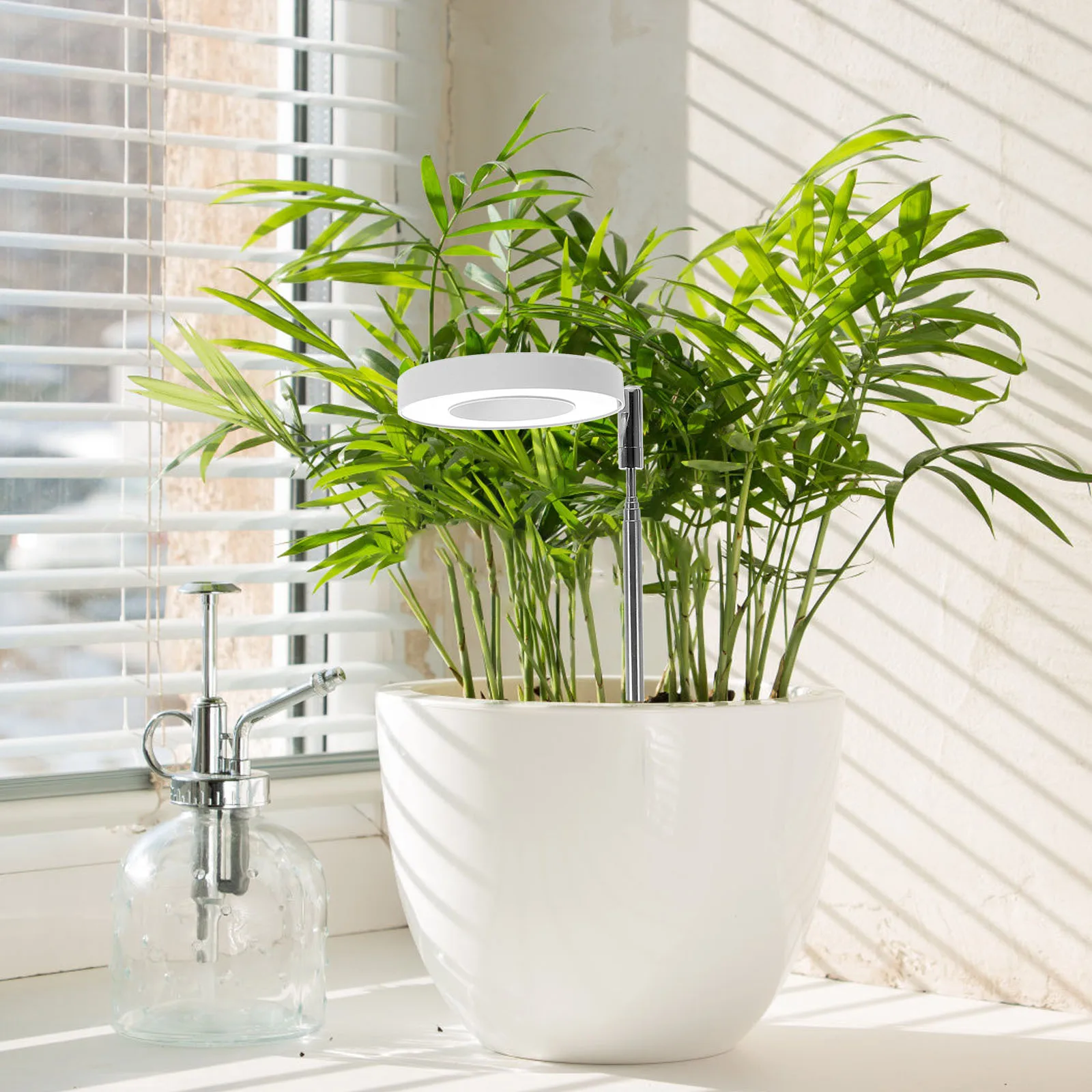 

1 комплект, 1 комплект, лампа для выращивания растений, красный, синий свет, полный светодиодный светильник для роста растений, комнатные овощи в горшках, вырезки металла