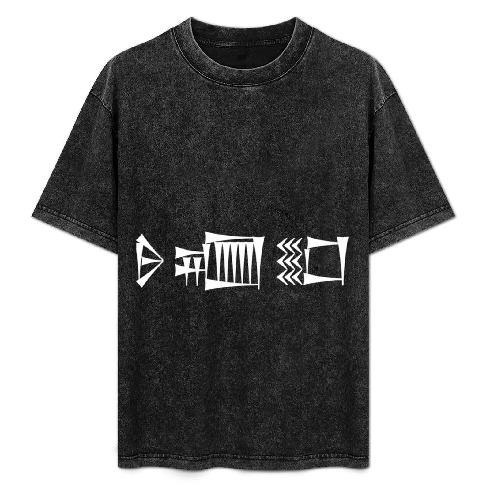 Cuneiform munus dub-sar (lady scribe) Classic . T-Shirt Soft Stretch Short Sleeve Top