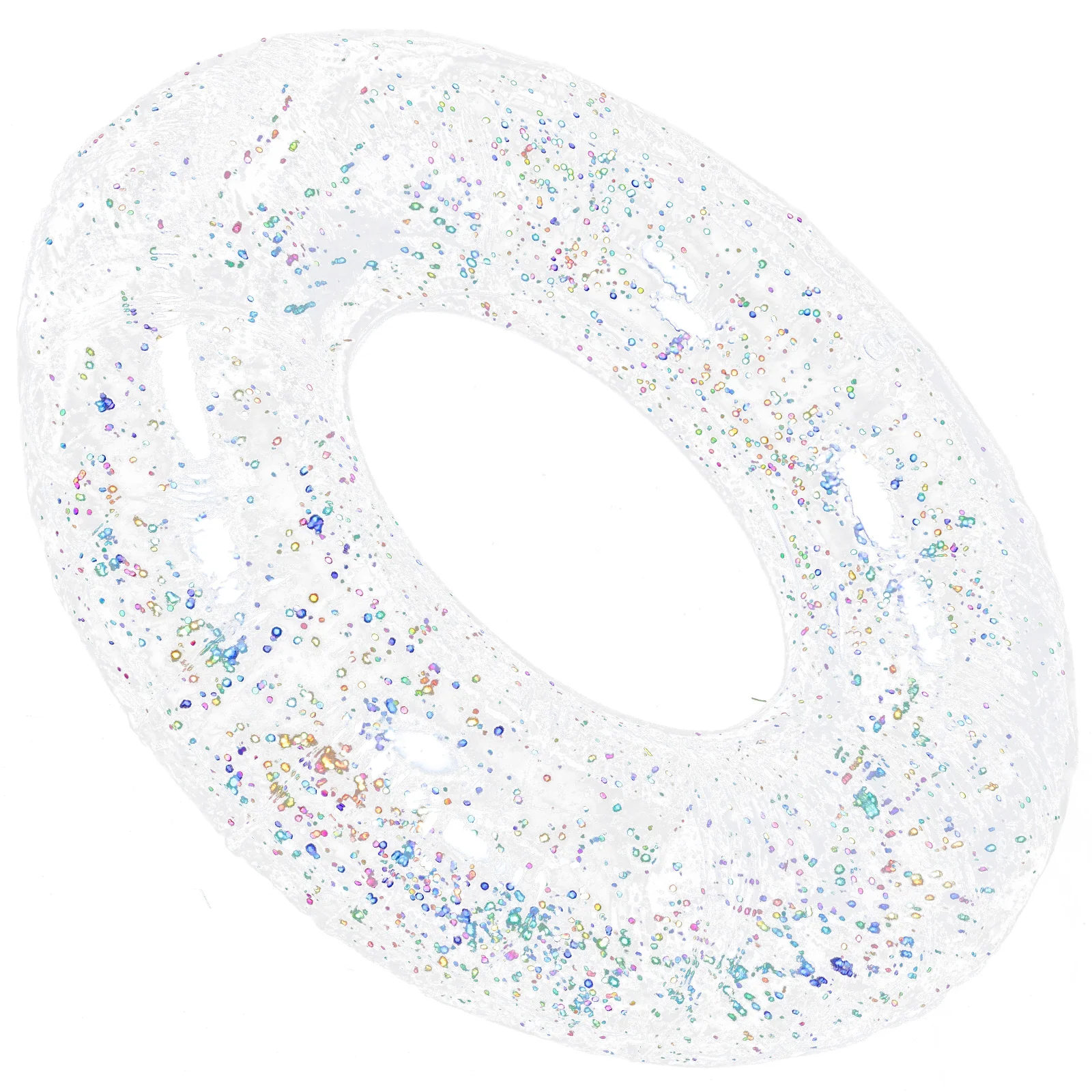 نفخ بريق بركة تعويم الدائري طوافة بلاستيكية للسباحة نفخ تعويم عوامة للسباحة أنبوب بريق شفاف #5