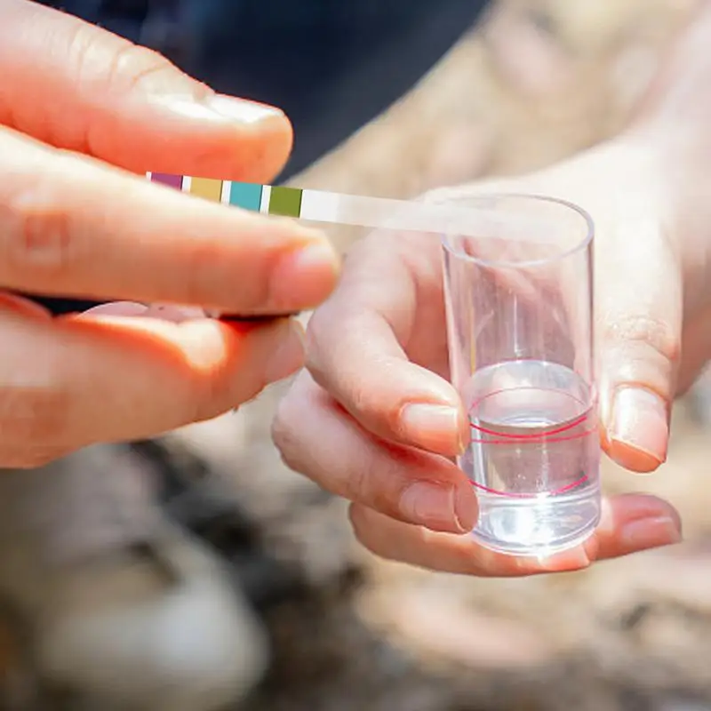 Ph Strips For Urine And Saliva Testing Ph 0-14 Ph Strips For Water Testing 100 Strips Ph-Indicator Strip To Test Drinking Water