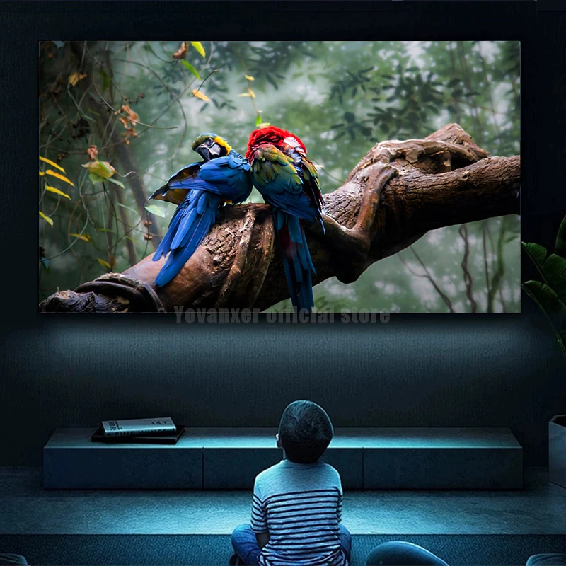 2024 Top Quality Fixed Frame Projection Screens 90 Inch Fresnel Projector Screen ALR/CLR For Long Throw Projector 4K 8K