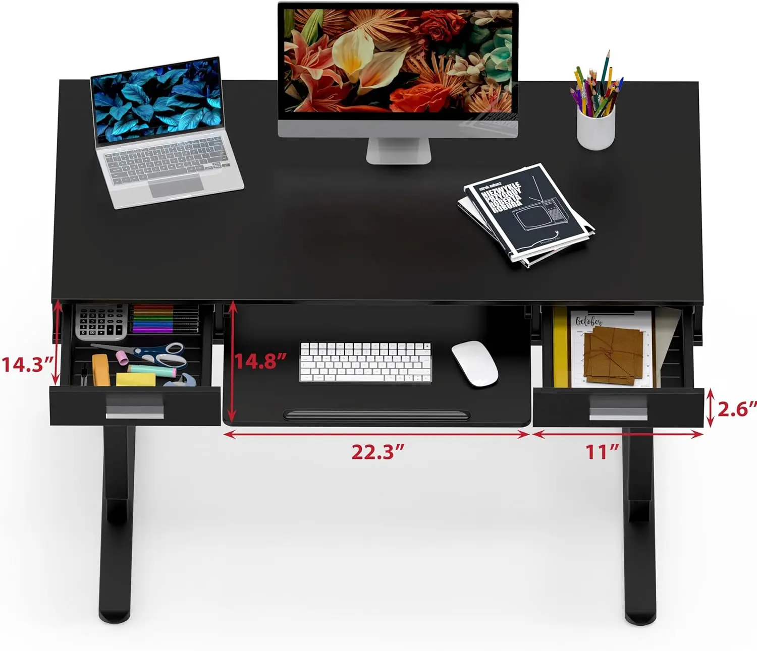 YSHW 48-Inch Electric Height Adjustable Desk with Keyboard Tray and Two Drawers, Black