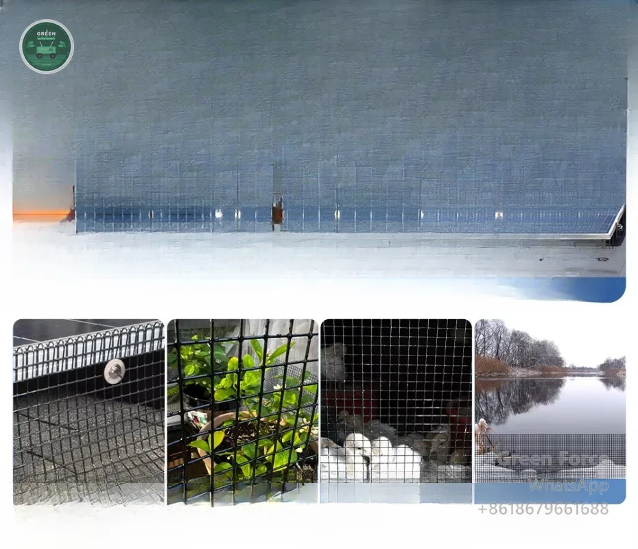 High-Performance Solar Panel Bird Barrier - Galvanized Welded Wire Netting for Sustainable Energy Installations