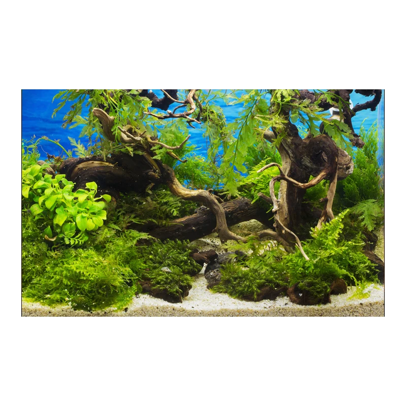 Aquarium Background Sticker Background Poster Plant Fish Tank Decoration Self Adhesive Wallpaper 3d Background