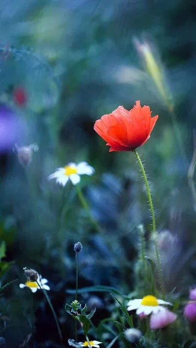 

Металлические детали для сборки: левая и правая балки, передний и задний бампер, боковые защитные элементы для радиоуправляемой модели 1/10 RGT ROCK CRUISER 86100 CRAWLER, запчасть для тюнинга