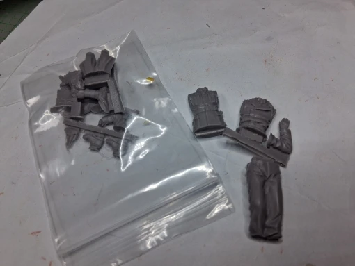 Buyer photo of this resin kit