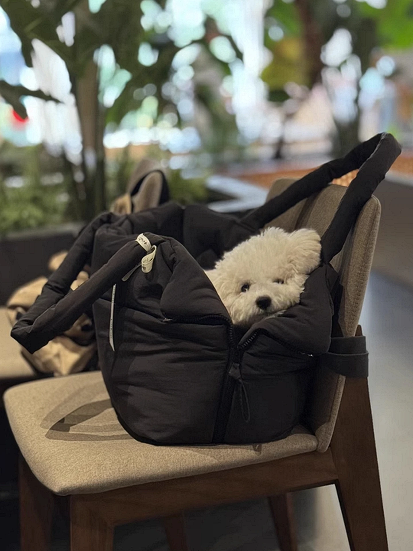 

Большая вместительная сумка-переноска для животных: дорожная, наплечная, через плечо, водонепроницаемая, для прогулок и поездок на автомобиле