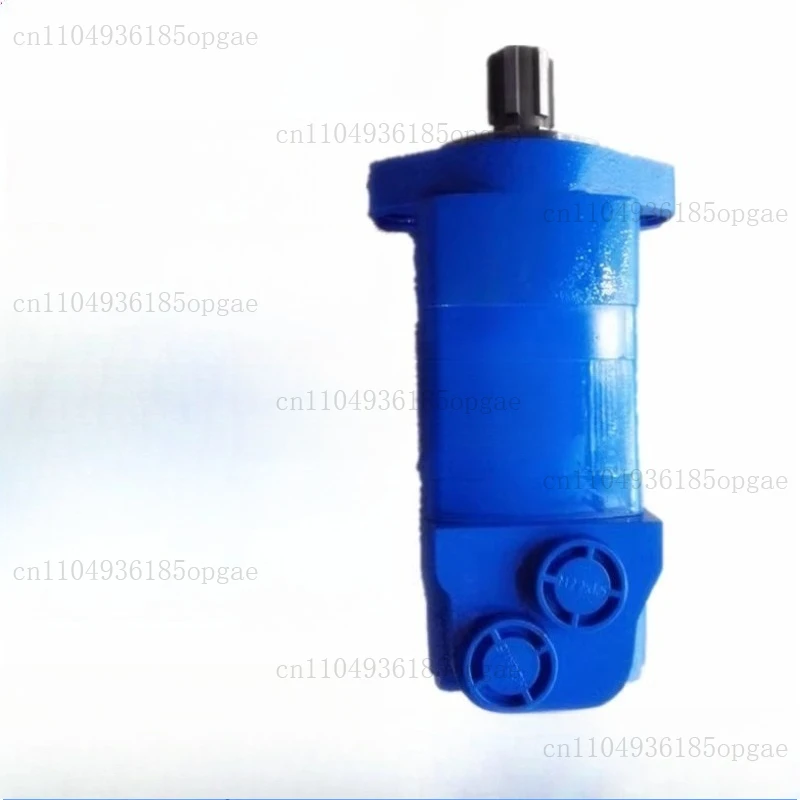Cycloid Motor HMS/BMS/OMS