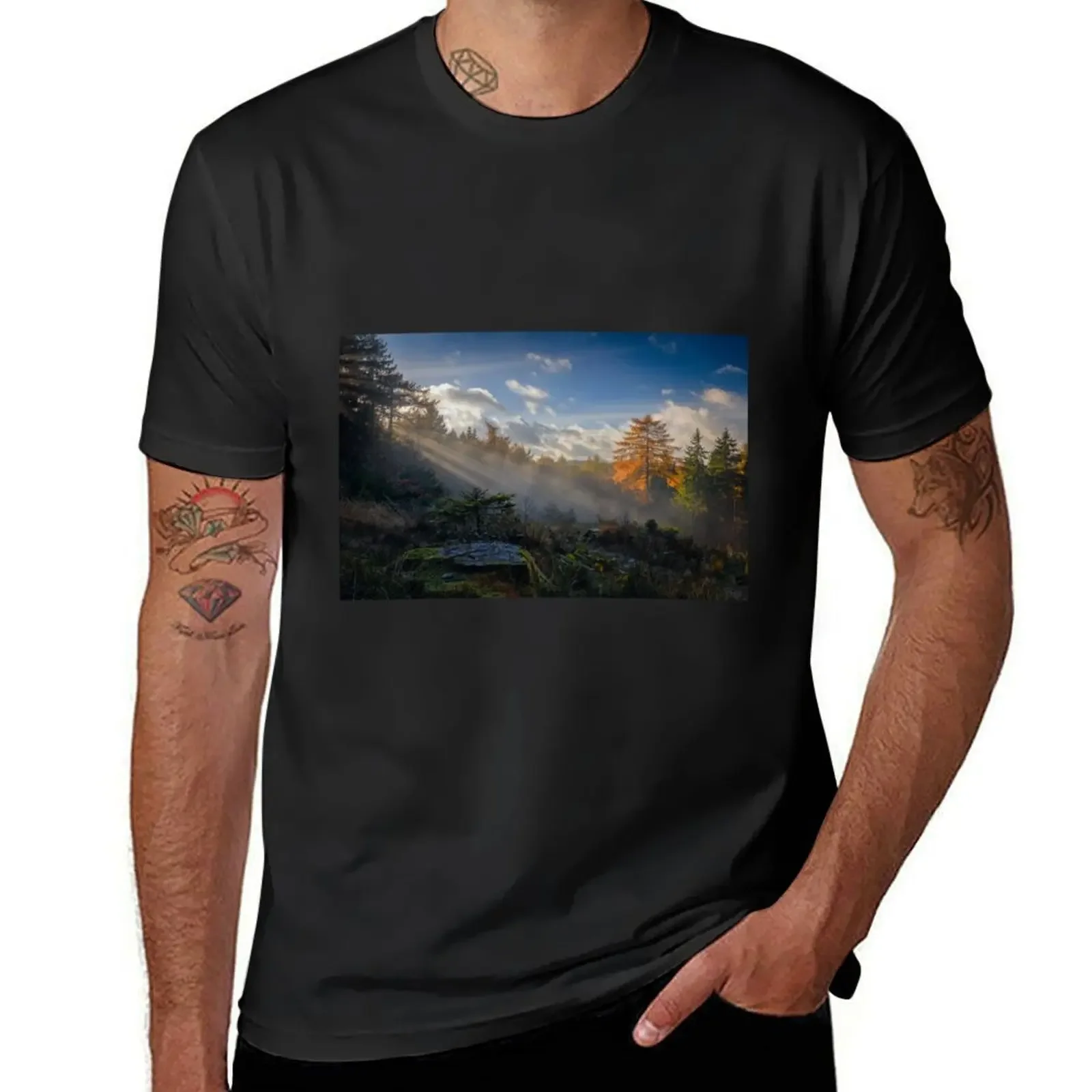 Teutoburg Forest - Shafts of Light T-Shirt quick-drying shirts graphic tee mens t shirts pack