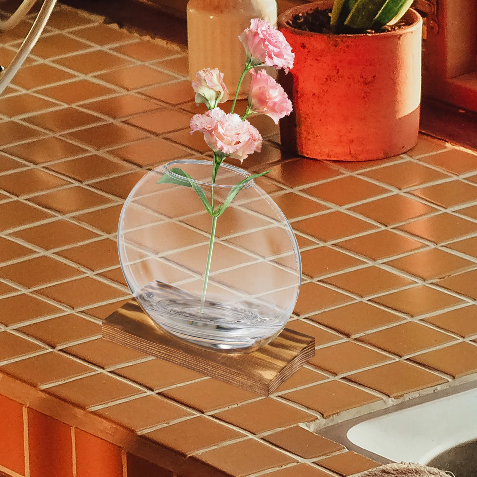 

2Sets Glass Planter for Indoor Plants Rounded Corners Smooth Edges Creative Shaped Vase Plant Propagation Terrariums