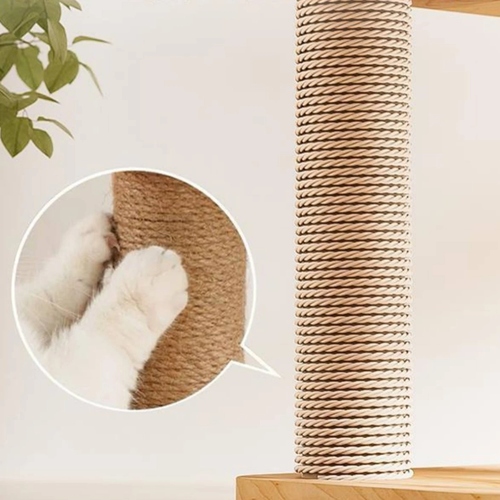 structure-d'activites-pour-chats-en-bois-avec-corde-de-sisal-perchoir-a-bulle-en-acrylique-multi-niveaux