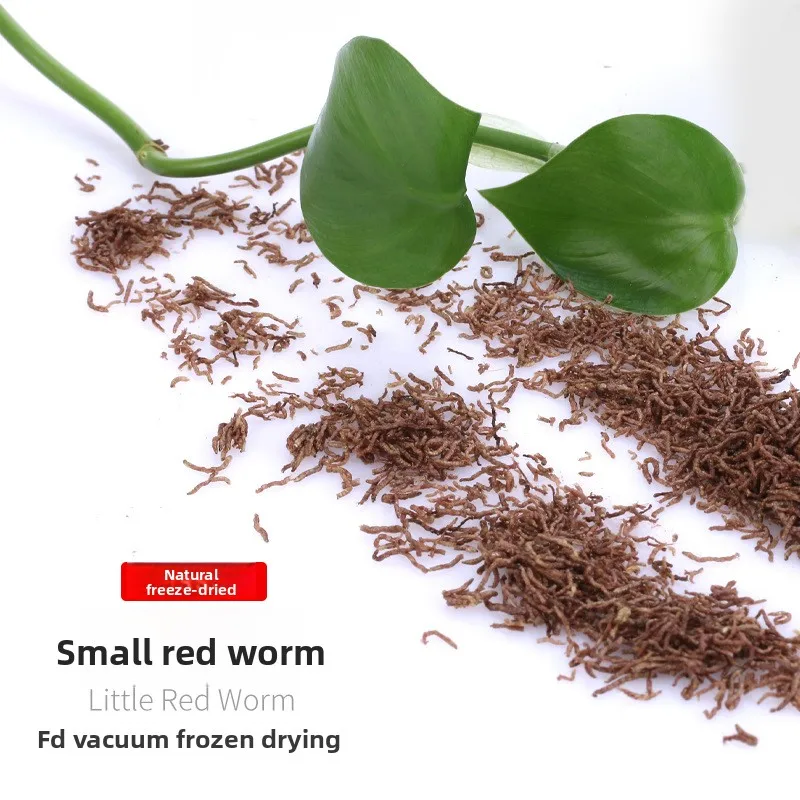 SPRAY Freeze-Dried Bloodworms - High Protein Tropical Fish Food for Guppies, Tetras & Small Species | Natural Color Enhancer