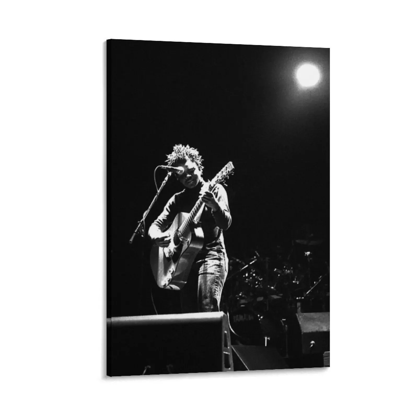 

Tracy Chapman Canvas Painting Decorative painting for bedroom decorative wall canvases painting