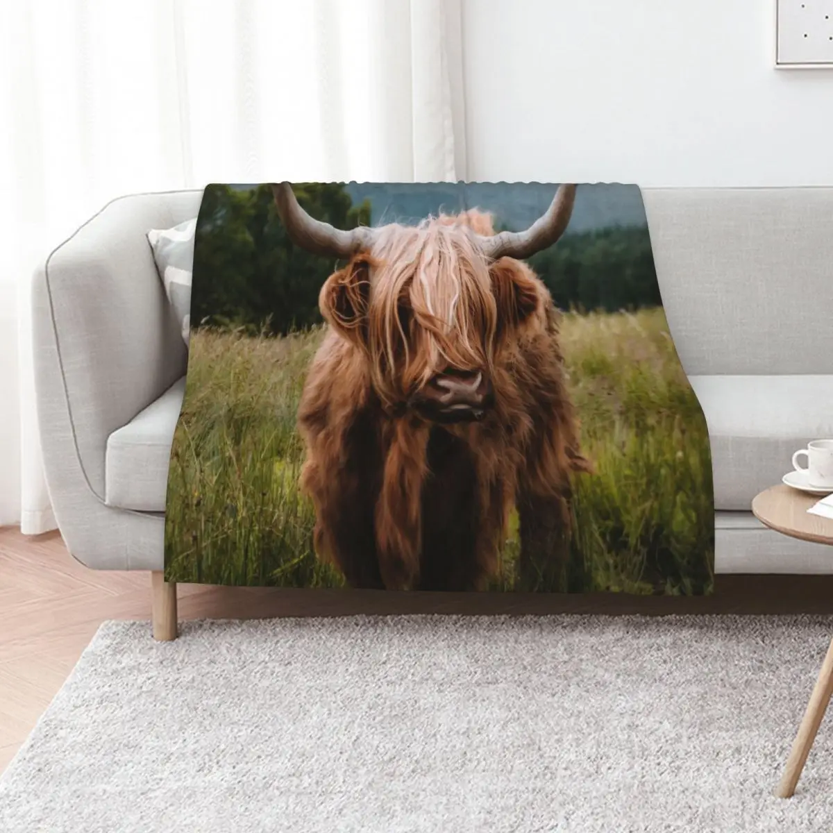 Wooly Cow a?? Scottish Highland Cattle in Scotland Throw Blanket Softest Single Furry Plush Luxury Blankets