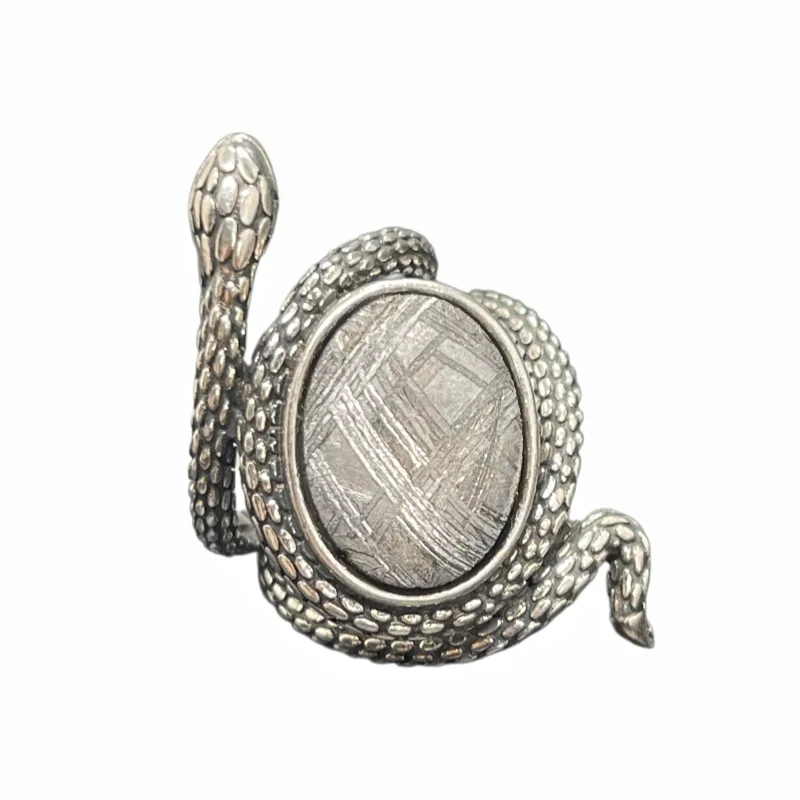 Gibeon Meteorite Statement Snake Ring Adjustable Size Natural Etched Widmanstatten Pattern Inlaid Metal Space Rock Jewelry K62