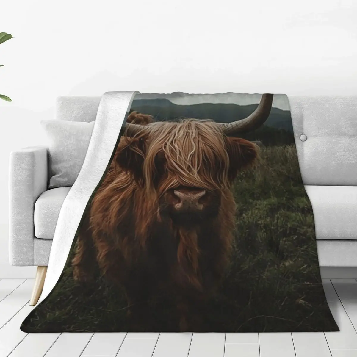 Scottish Highland Cattle Blankets Fleece Breathable Sofa Throw Blankets For Home Bedroom Outdoor Throws Bedspread Quilt