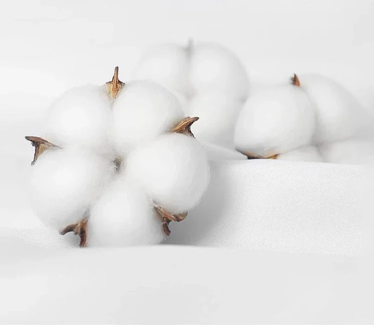 Estate Cartoon Disney Parodia Cattivi Principessa Stampa Camicetta Donna Anni '90 Maglietta Harajuku Bianco Donna T-shirt Donna Y2k Top