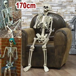 Halloween Realistic Body Bones Movable/Posable Joints Simulation Skull Ornament Festival Theme Full Size Home Party Decorations