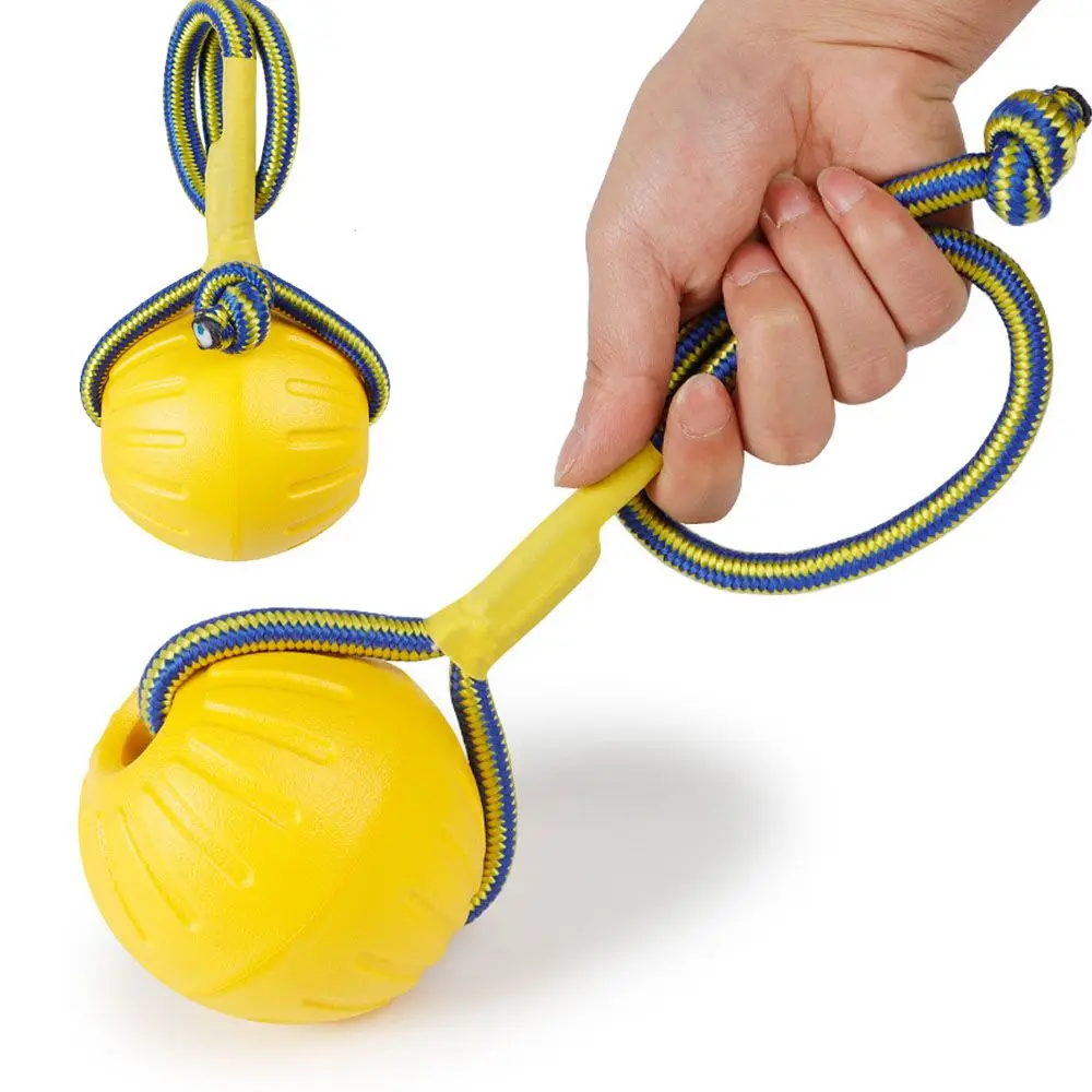 Balle en caoutchouc indestructible interactive pour chien, balle d'entraînement pour chien, jouet à mâcher pour animaux de compagnie, pour le jeu et le jeu de rapport