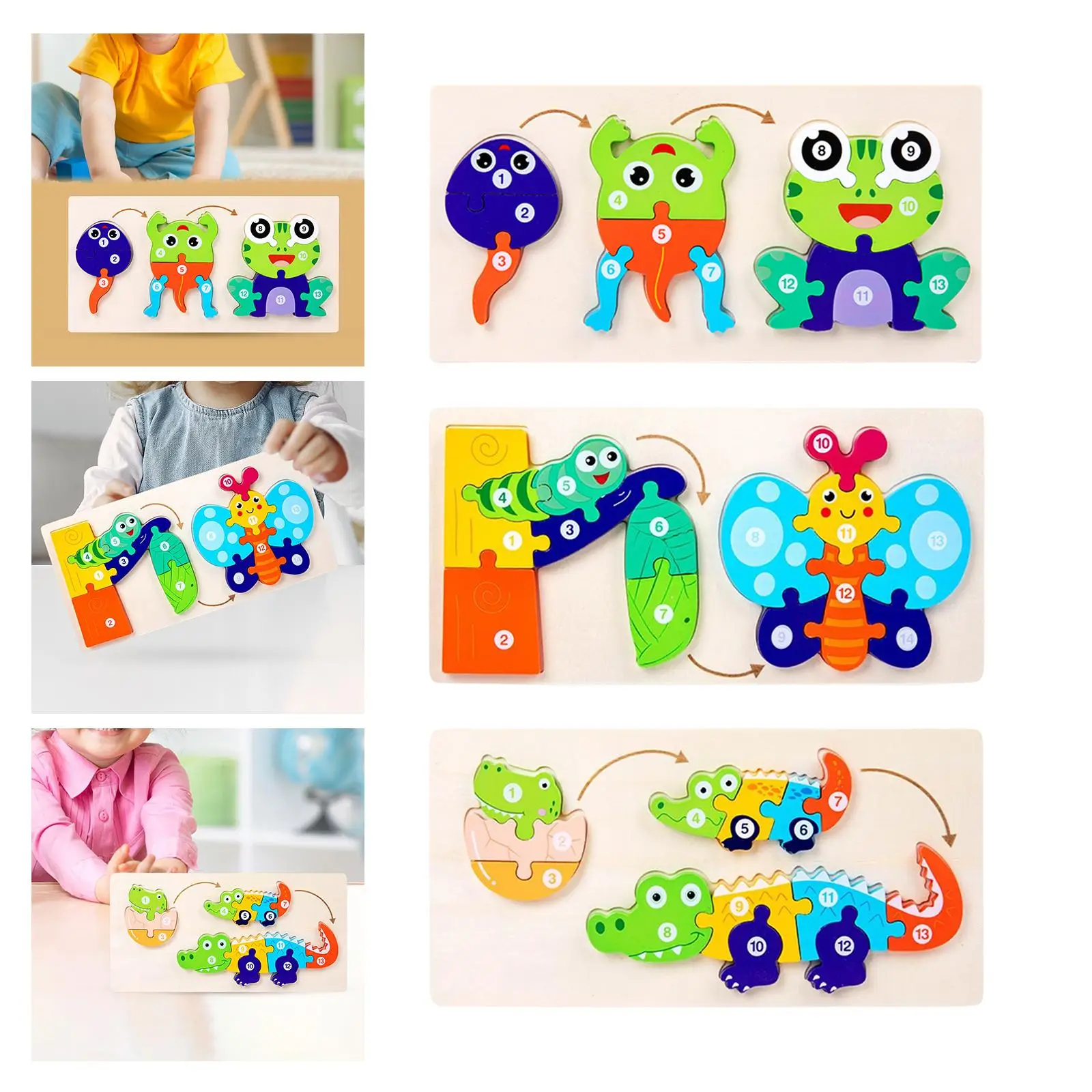 Animla のライフ サイクル パズル 動物の認識 創造性 想像力