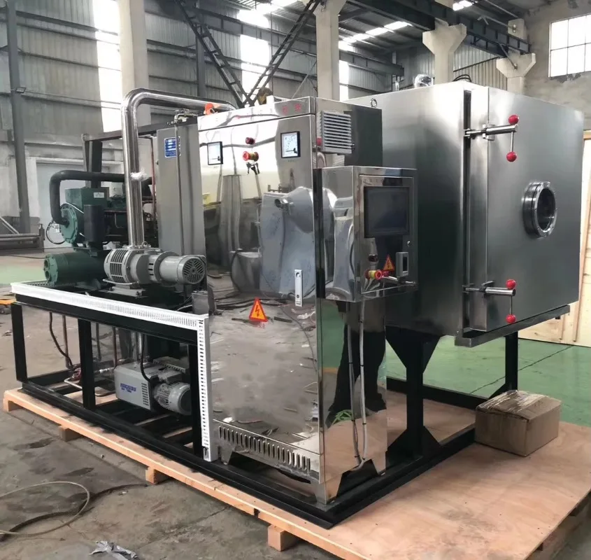 Industrial Freeze Dryer Lyophilizer Food Drying Machine High Efficiency for Fruit Meat Custom
