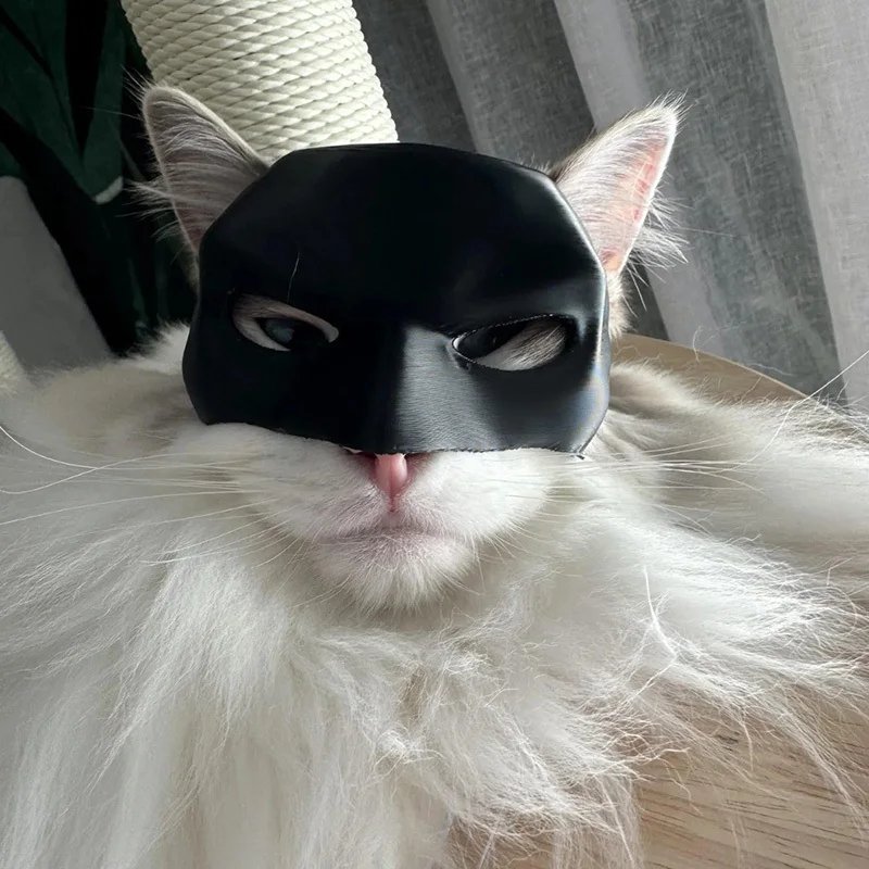 Bat Cat Avenger Mask Cosplay Creative Black Cat Bat Mask Decorative Bat Man Cat Mask Cat Face Mask for Halloween Cosplay