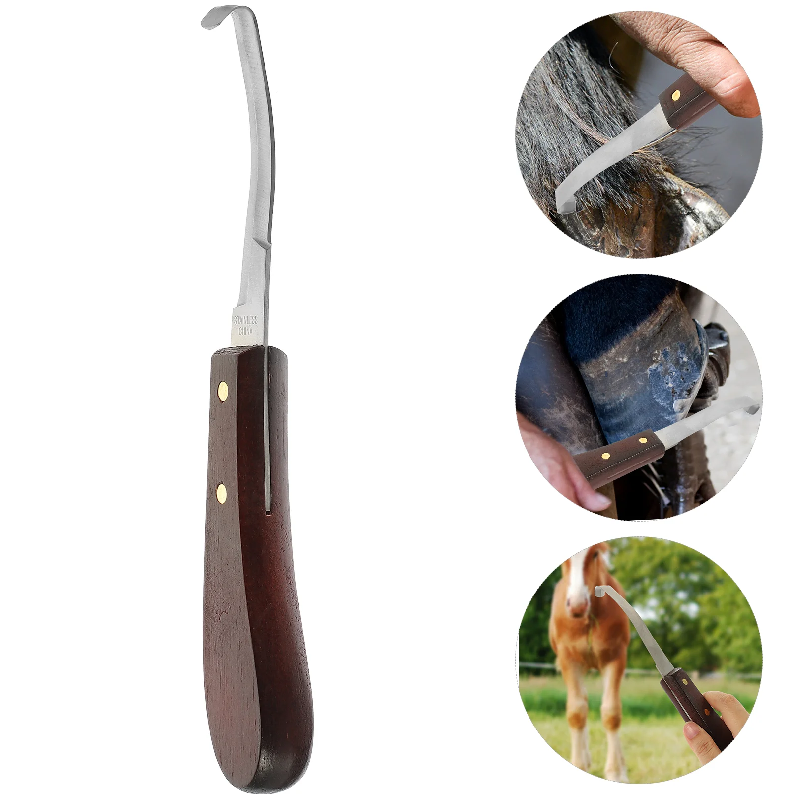 Pasture Accessory Hoof Trimmer Professional Tool Honing Rod Stainless Steel Ergonomic Knife