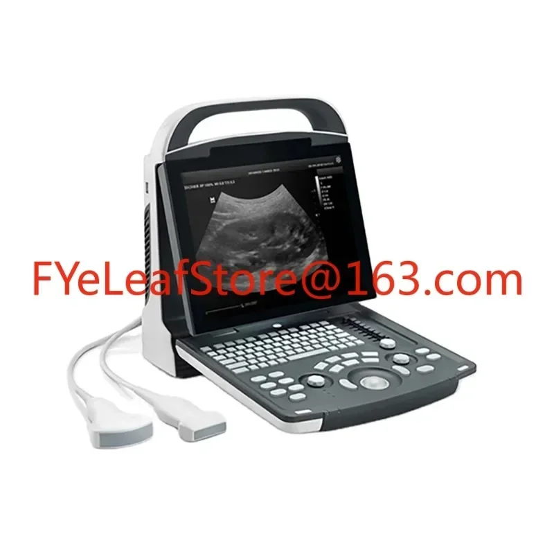 Dp 10 Portable Ultrasound Machine Price