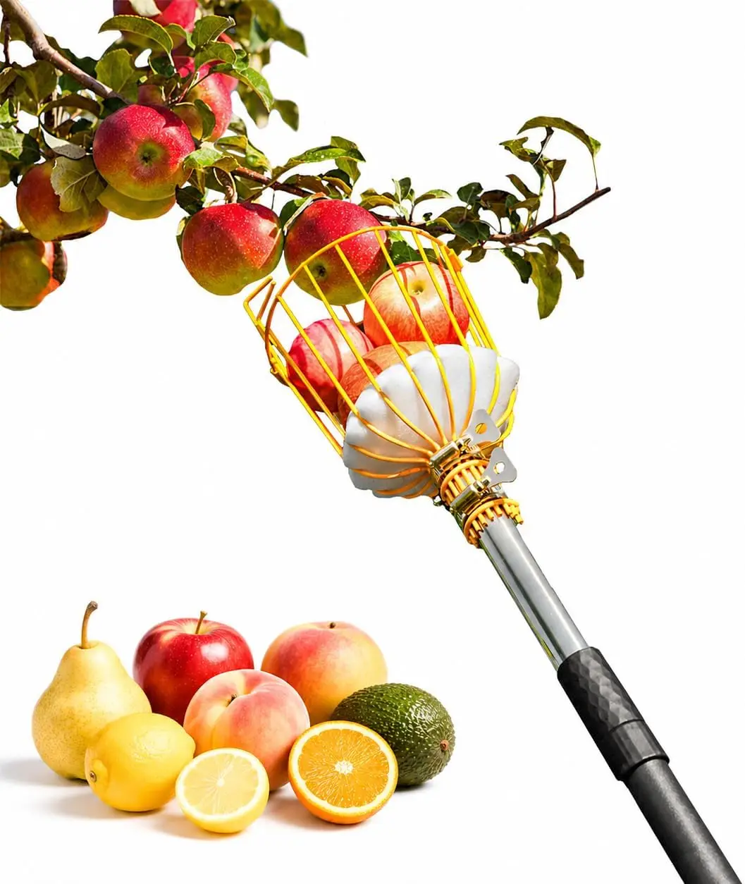 

6.5FT Fruit Picker Pole Tool with Basket, Fruits Picking Tool with 35–77 Inch Adjustable Lightweight Stainless Steel Pole and Big Basket