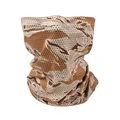 Desert Tiger Patter