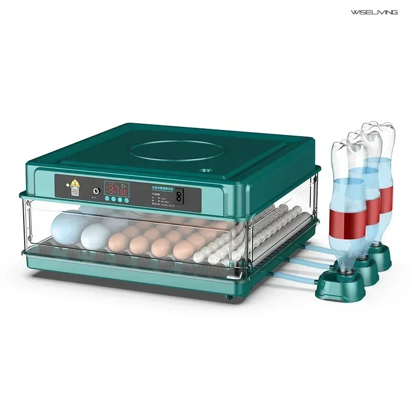 

Small home incubator. Fully automatic. Intelligent for chicks, asparagus, ducks and geese. Incubator machine. Useful appliance.