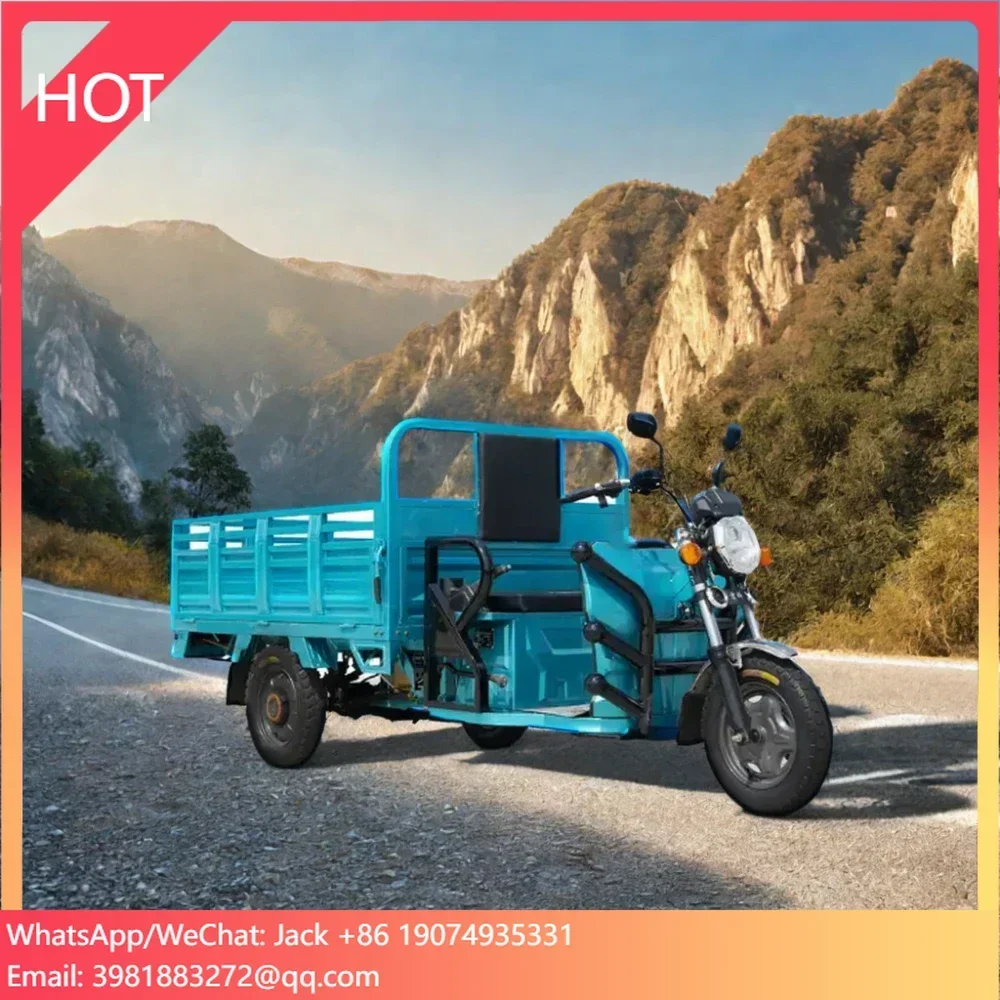 2024 Factory Direct 800W 60V Electric Pedicab Best-Selling Passenger Tricycle Popular Choice