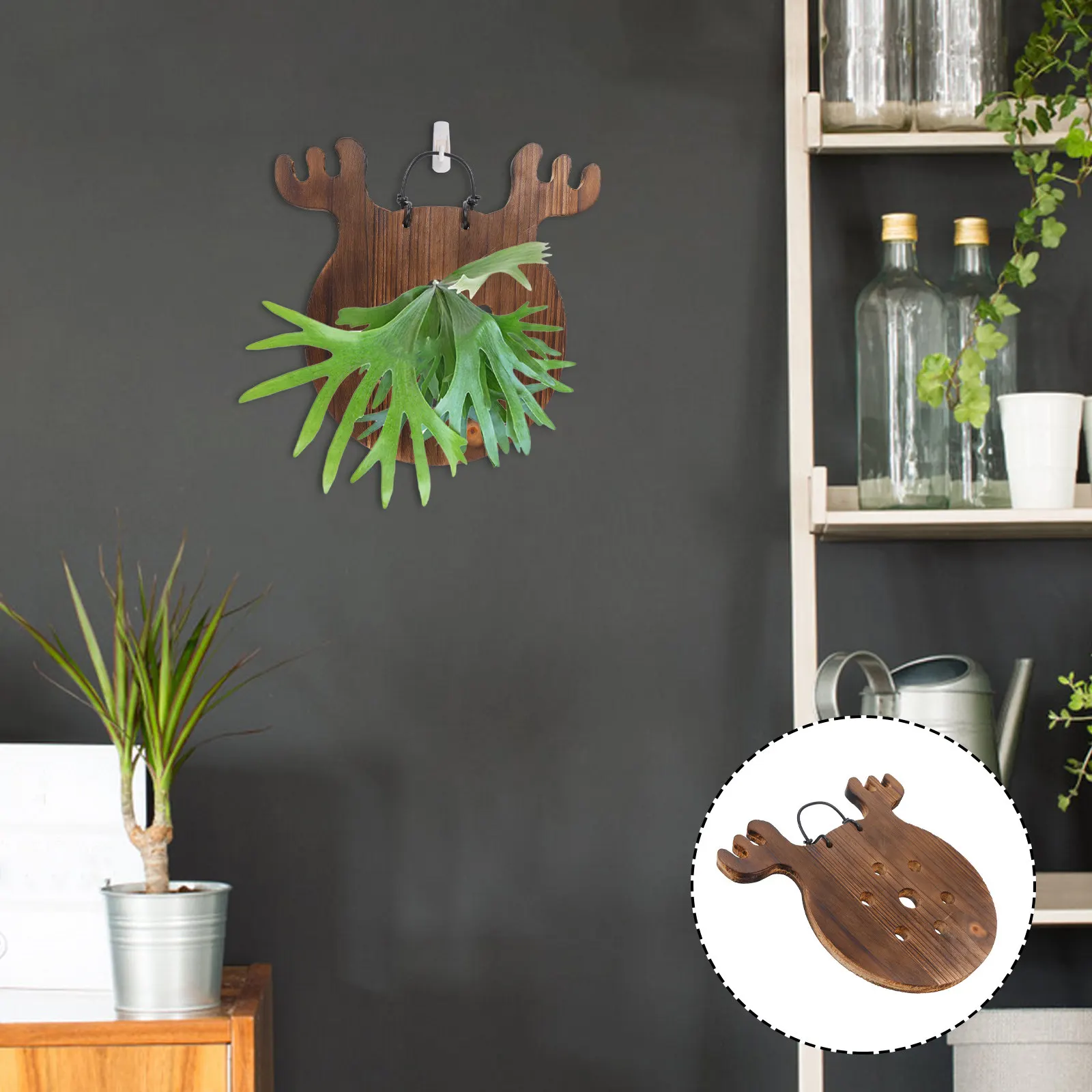 

Antler Fern Wall Hanging Board Wooden Vertical Planter Indoor Hanging Plant Holder for Orchids Succulent Climbing Plants Living