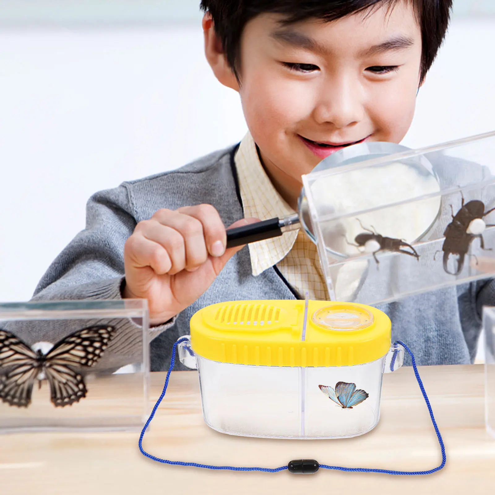 Observeur d'insectes jaune, loupe biologique, outil d'exploration pour enfants, apprentissage scientifique éducatif, 1 pièces
