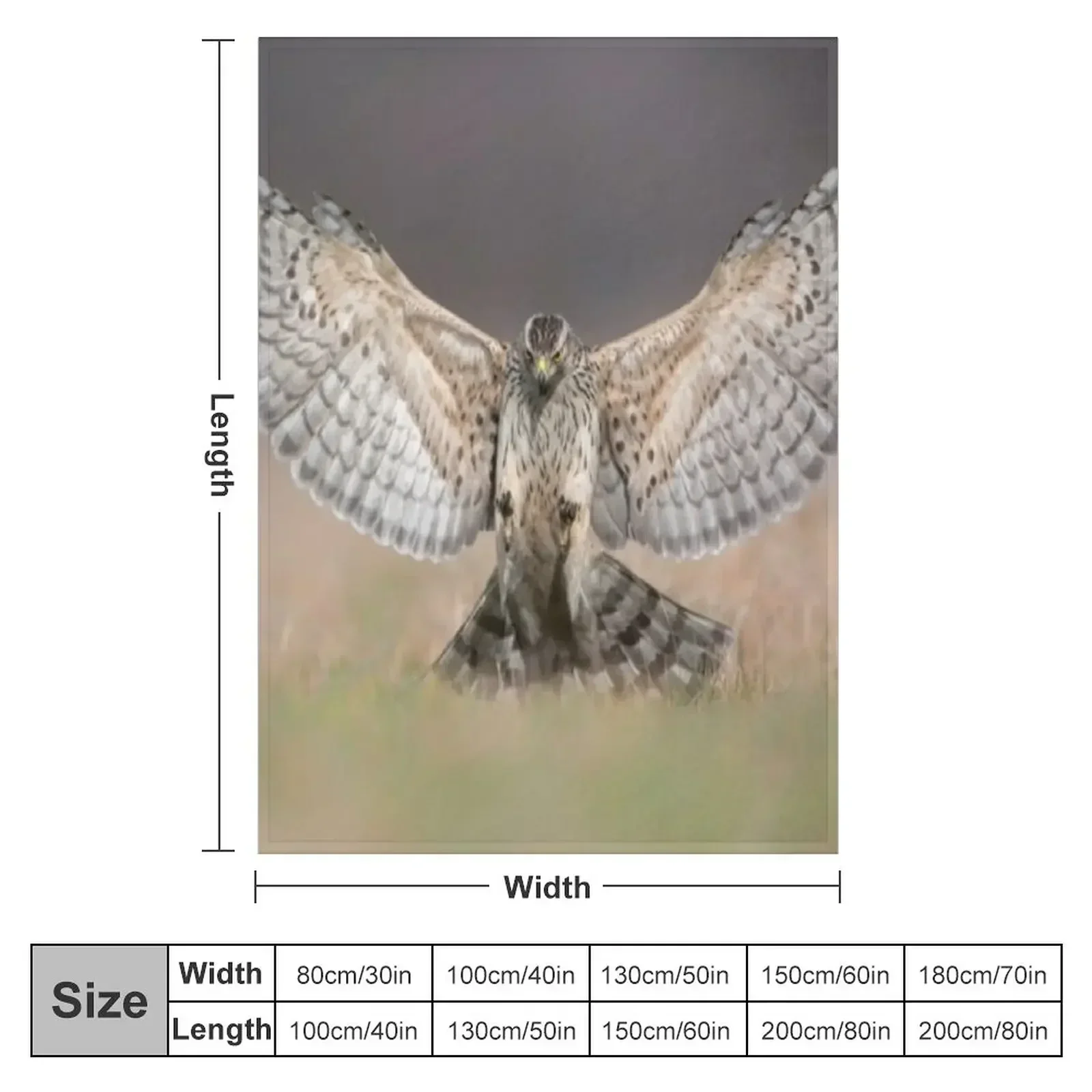 Northern goshawk (Accipiter gentilis) attacking Throw Blanket Large sofa bed Multi-Purpose funny gift Blankets