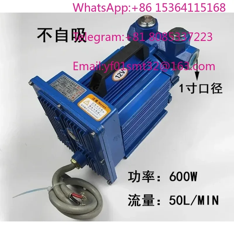 12V 24V 220V Brushless Explosion Proof Self Priming Fuel Pump Large Flow Portable Electric Oil Suction Pump