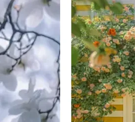 راديو سيارة 2Din لتويوتا MR2 MR 2 2000-2007 Carplay أندرويد السيارات أندرويد سيارة الوسائط المتعددة 7 "شاشة ستيريو لتحديد المواقع والملاحة #1