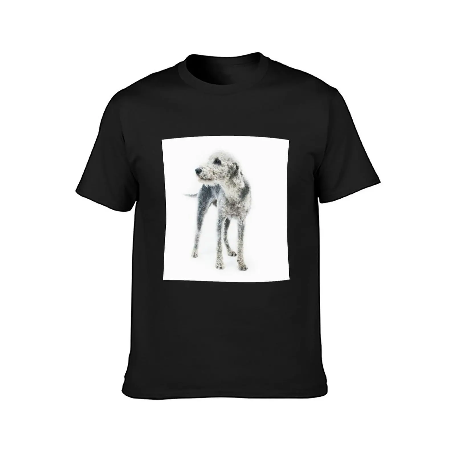 Bedlington Terrier T-Shirt customizeds animal prinfor boys anime clothes Men's t shirts