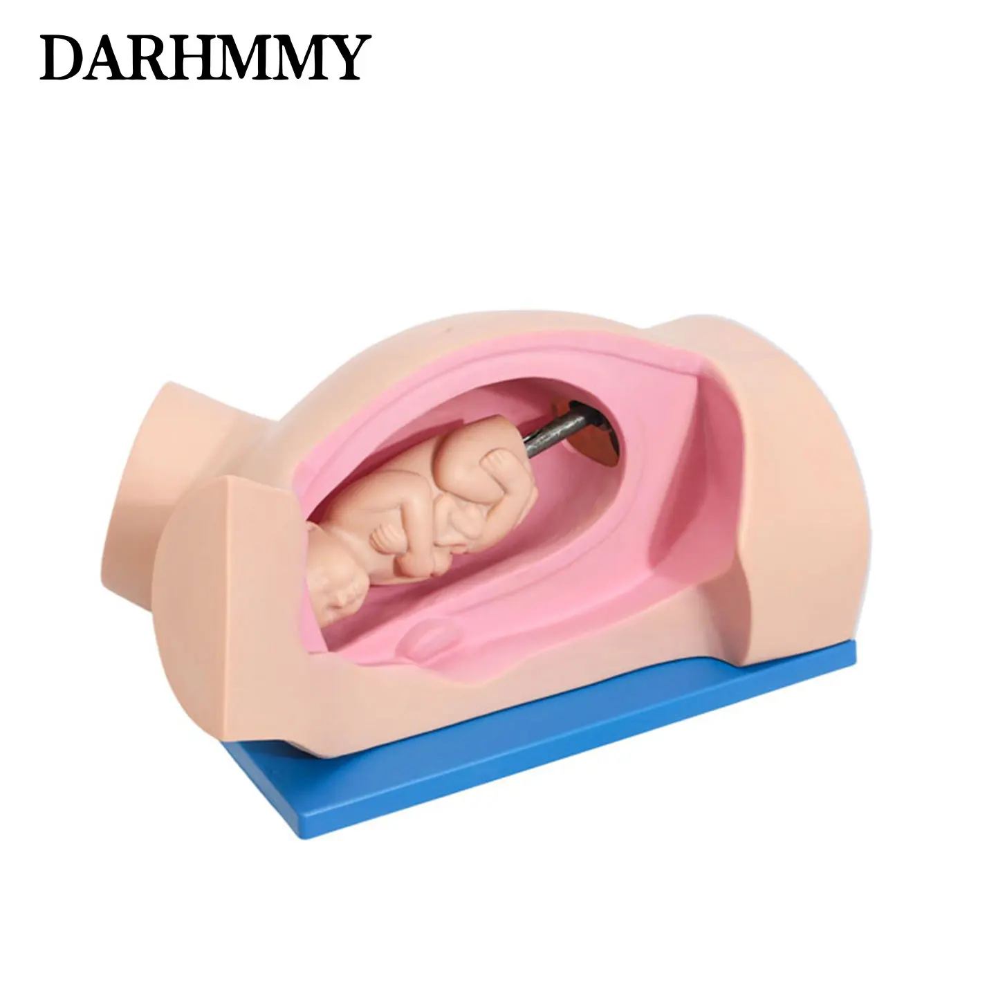 DARHMMY Leopold Maneuvers Model Obstetric Delivery Skills Teaching Model
