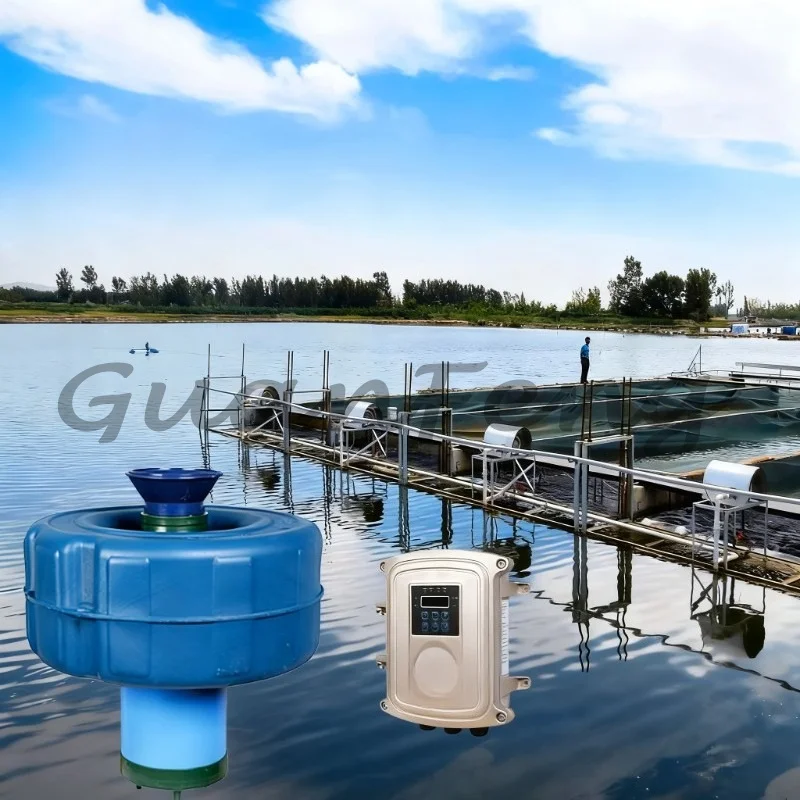 Floating 48V DC 750W Pond Aerator Oxygenation Pump, 1HP Water Oxygenation Device, Water Circulation Aeration Aquaculture Tool