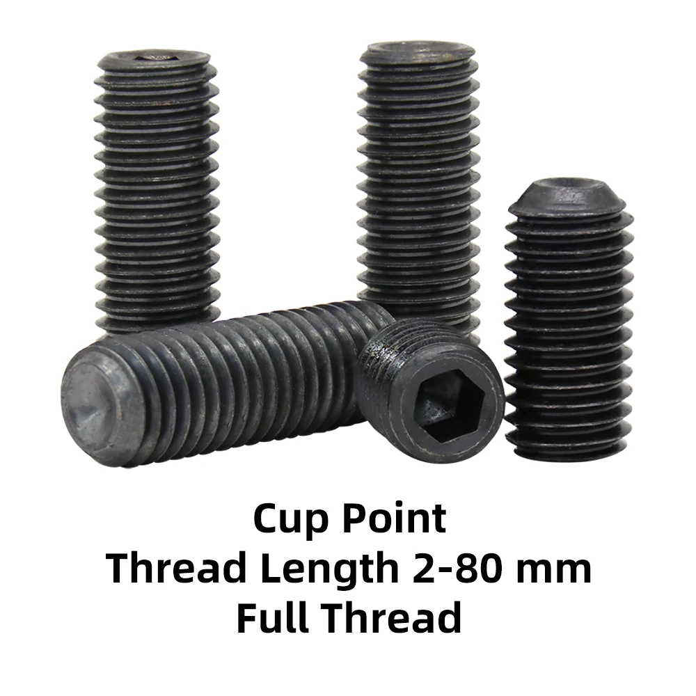 

Hex Socket Set Screws 2-100 PCS M10 M12 M14 M16 M18 M20 M24 Carbon Steel Blackening Grub Screw Grade 12.9 Fit For Allen Key