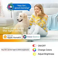 Smart Led Controller With Siri Voice Control For Home Lights.